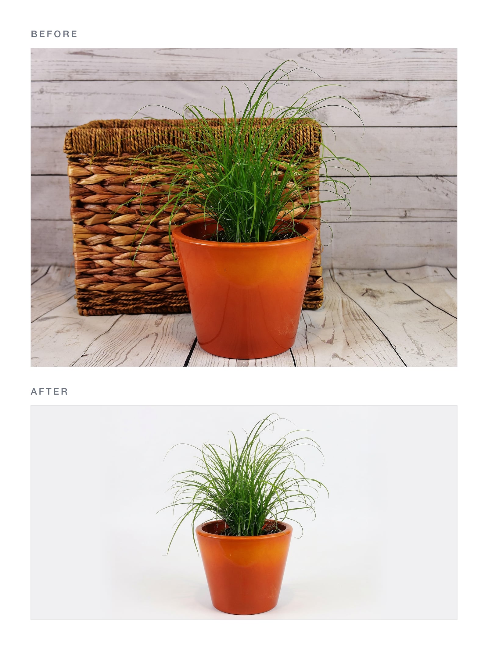Product Photos on Clean White